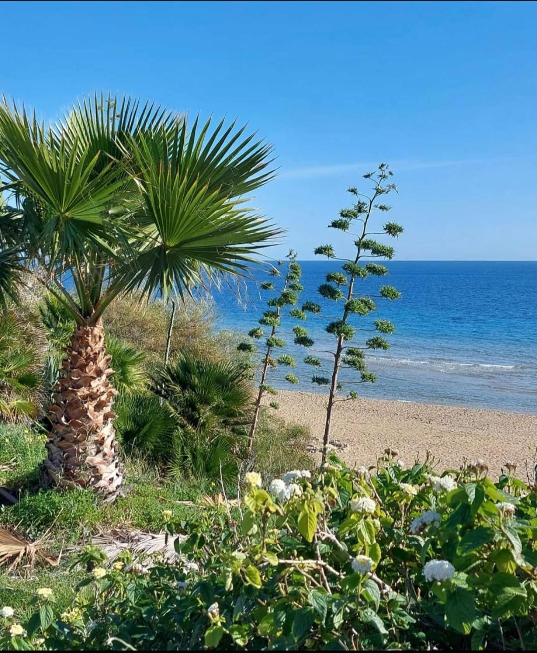 Villa Sul Mare Don Toto' Avola Exteriér fotografie